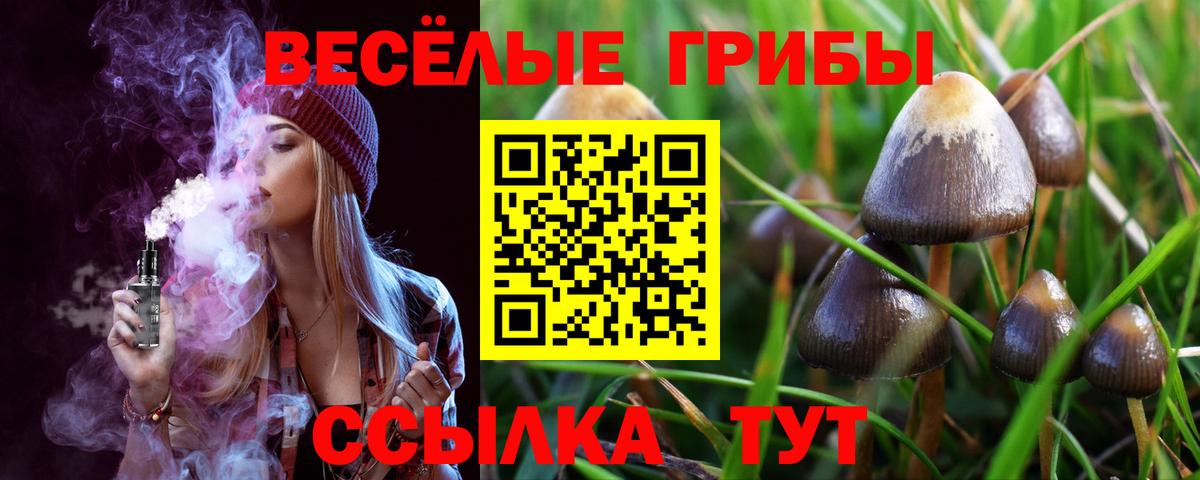 закладки  Псилоцибиновые грибы Magic Shrooms  Вход с VPN  Нальчик 