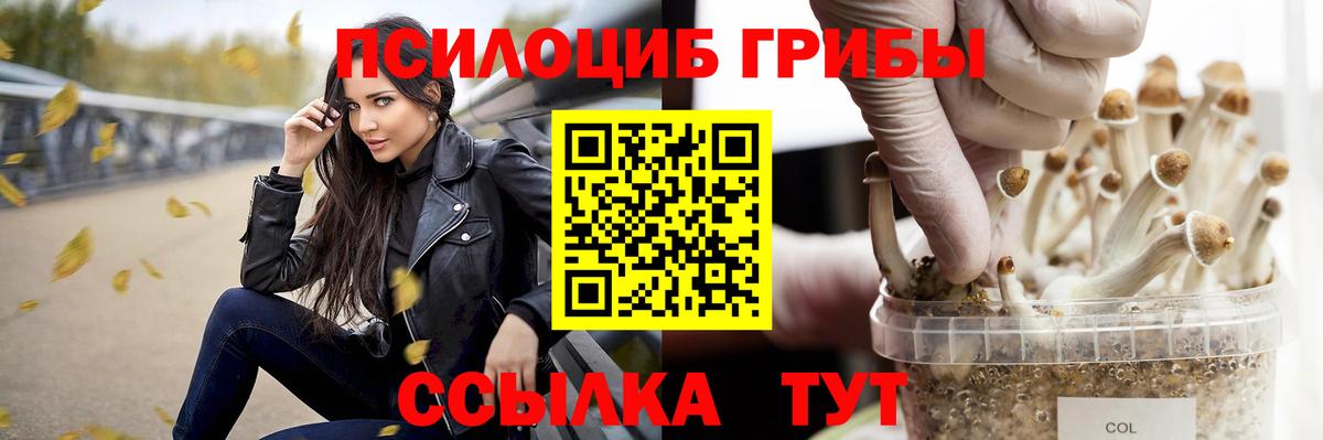 Псилоцибиновые грибы ЛСД Нальчик